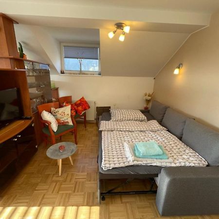 Apartment Kranj - Huge Terrace, Free P, Wi - Fi, Ac Exteriér fotografie