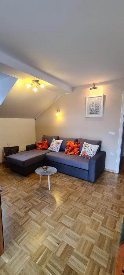 Apartment Kranj - Huge Terrace, Free P, Wi - Fi, Ac Exteriér fotografie