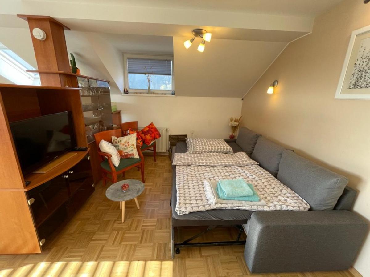 Apartment Kranj - Huge Terrace, Free P, Wi - Fi, Ac Exteriér fotografie
