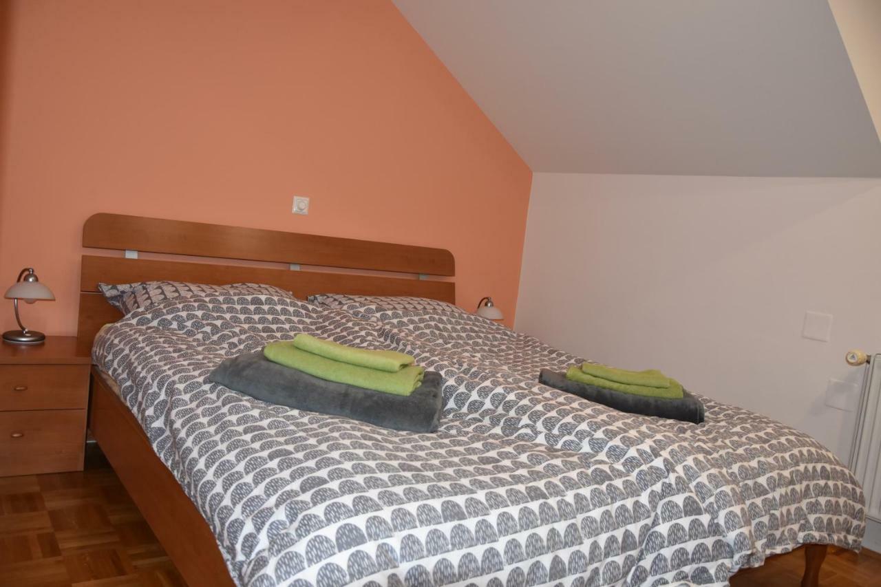 Apartment Kranj - Huge Terrace, Free P, Wi - Fi, Ac Exteriér fotografie
